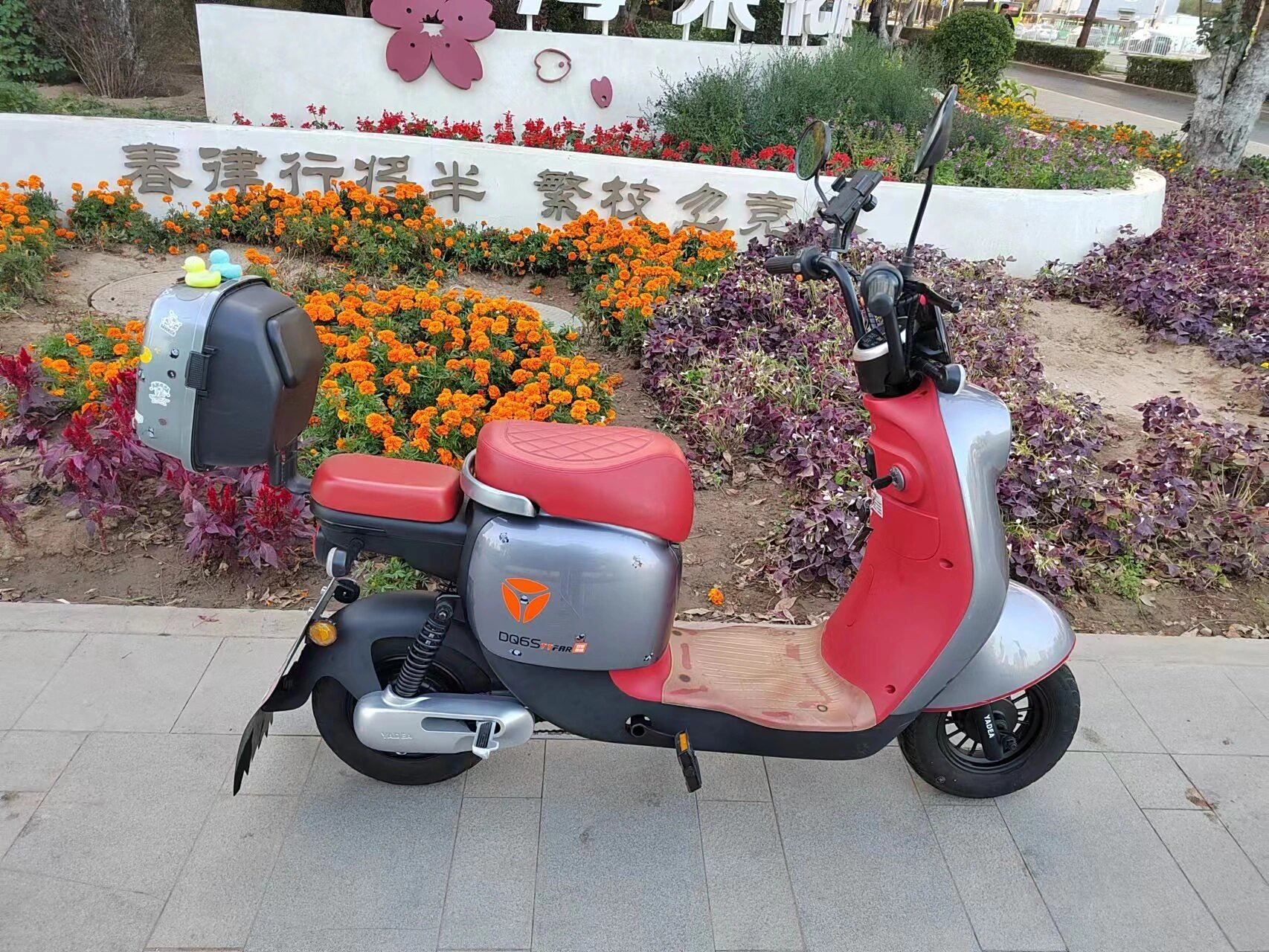 雅迪dq6s冠能二代,48v24a碳纤维锂电池 雅迪冠能二代dq6s电动车,48v24