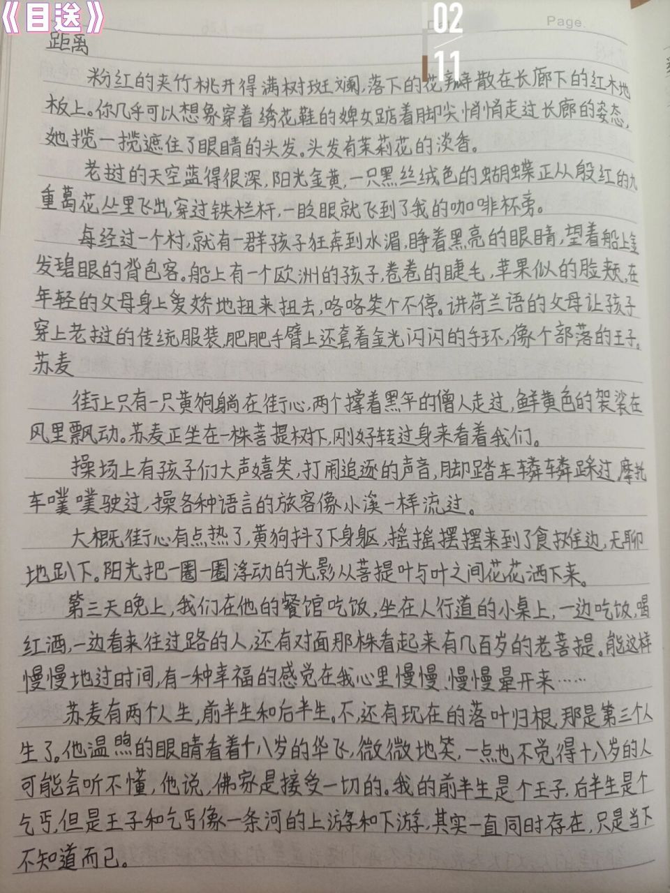 《目送》龙应台 好句摘抄