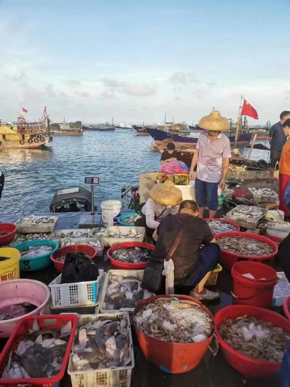 湛江海鲜码头图片