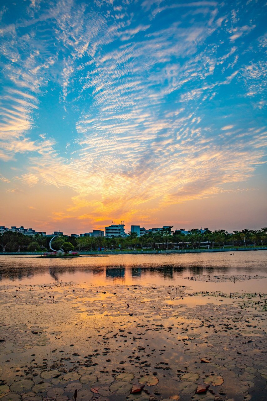 家门口的风景|杏林日东公园的秋冬晚霞 探索笔记: 	 ◎看到分享的日东