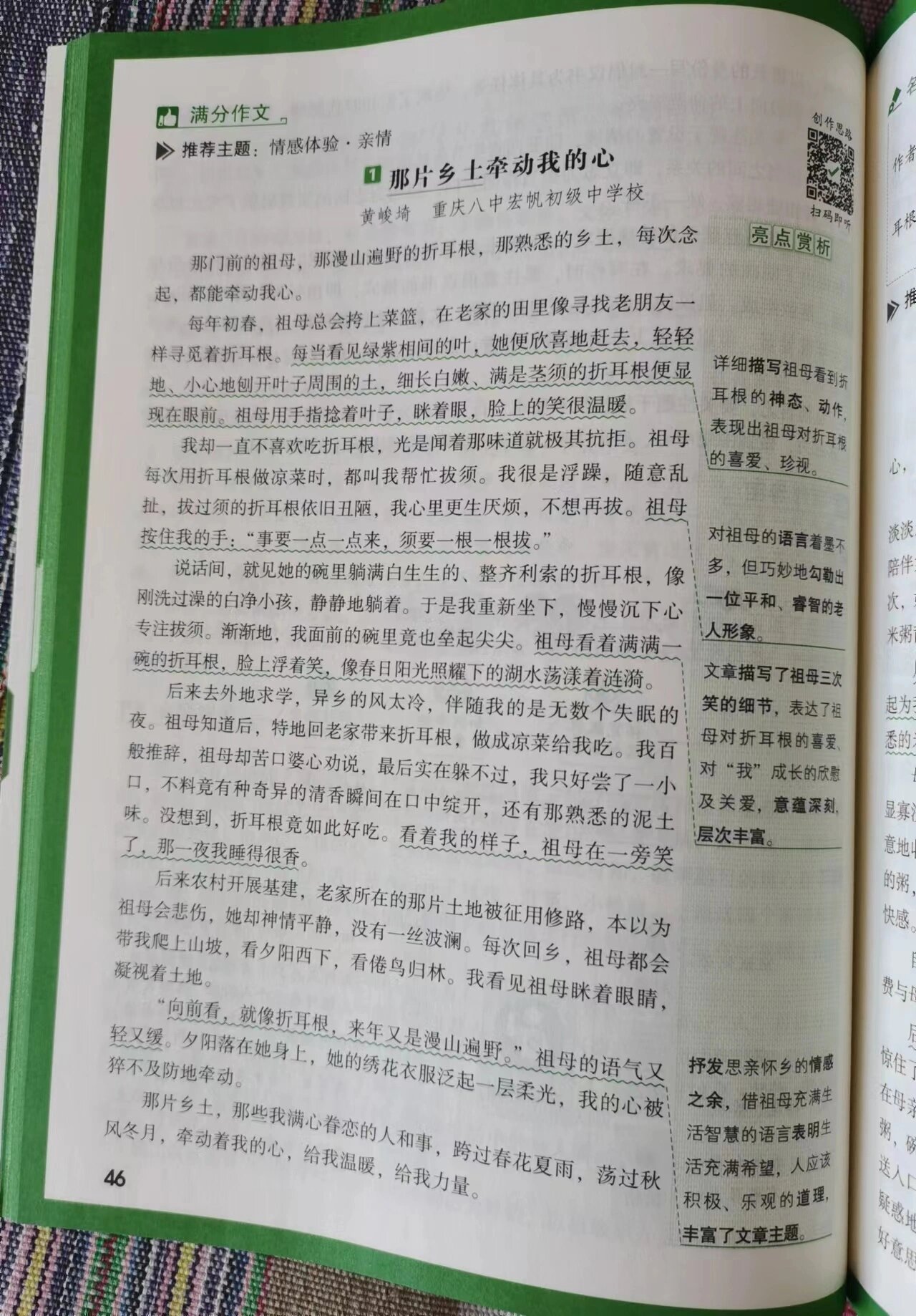 乡情作文600字初中手写图片