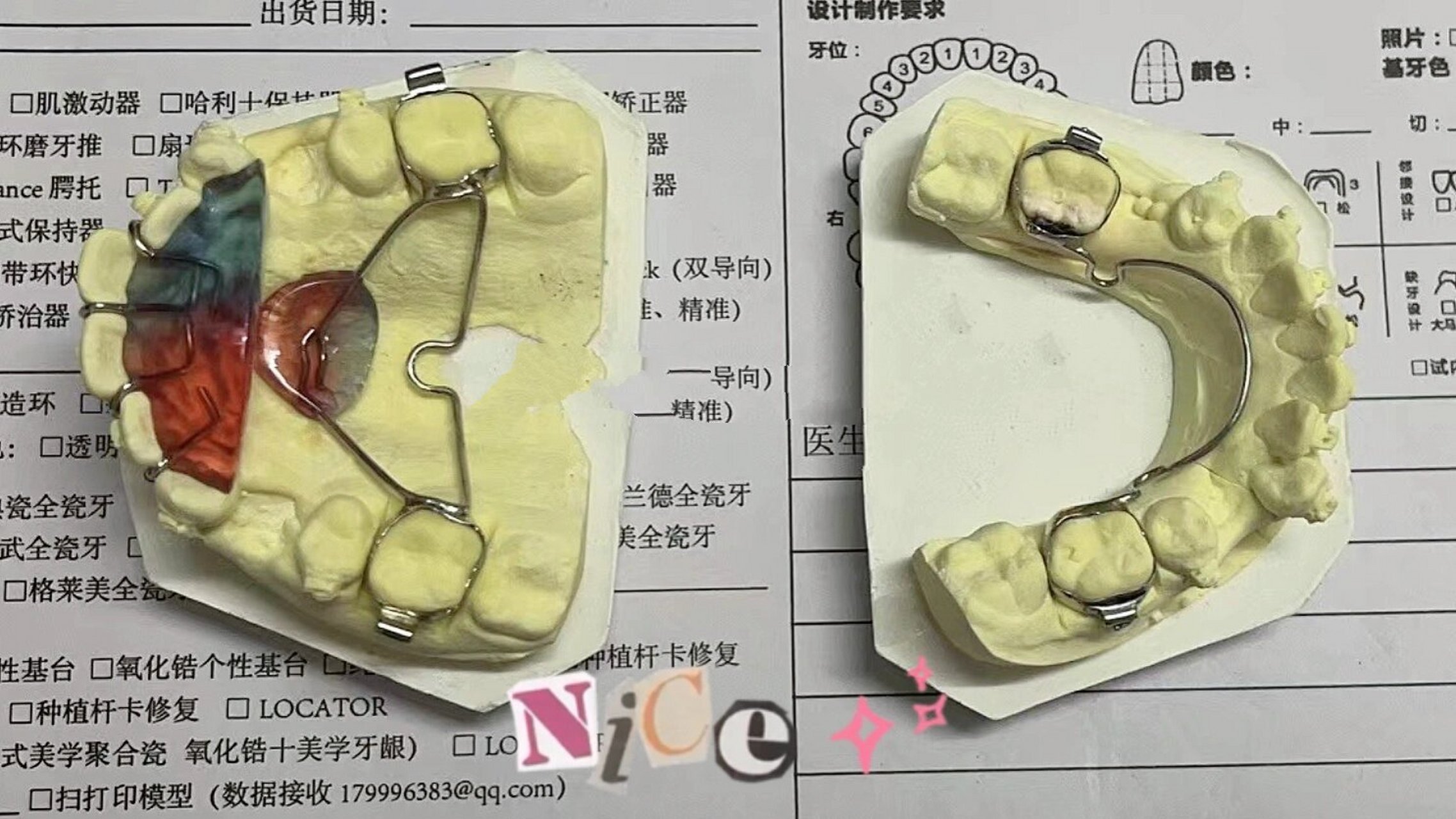 nance弓和横腭杆图片图片