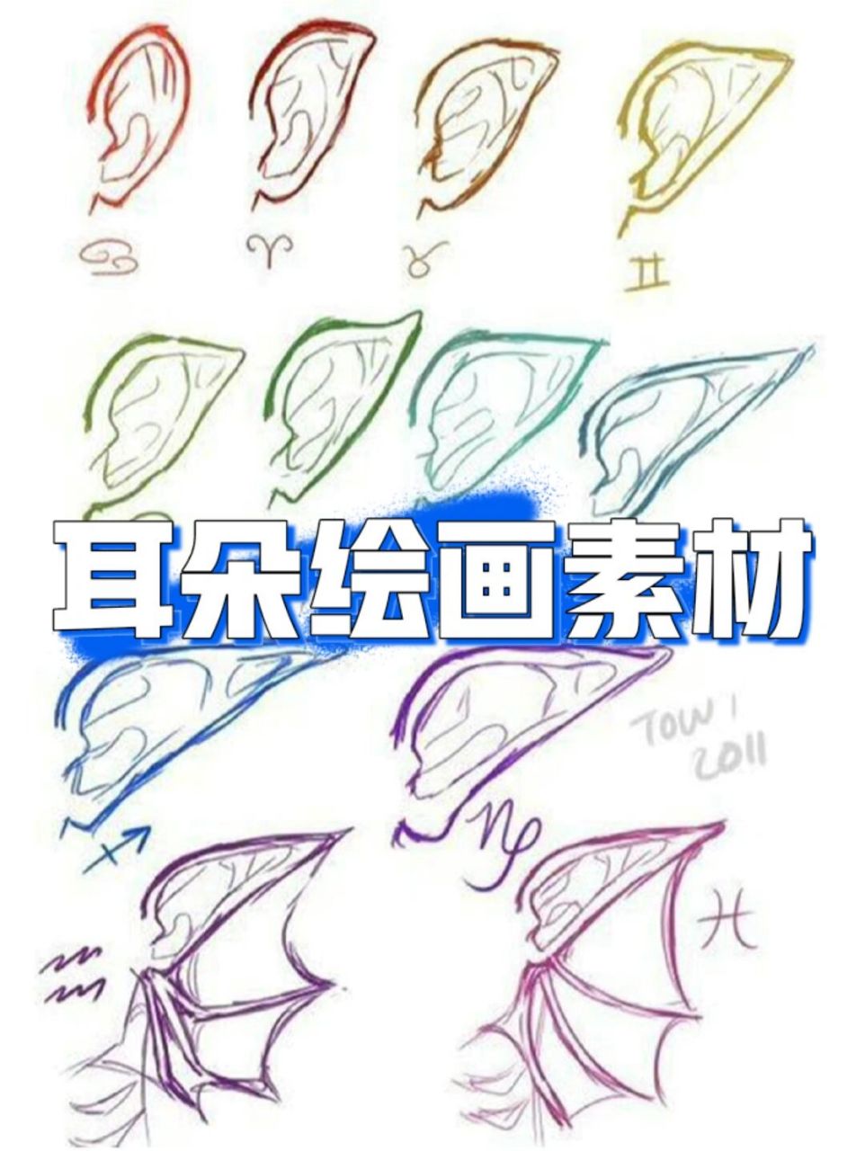 各种耳朵绘画素材参考73萌新必学7515