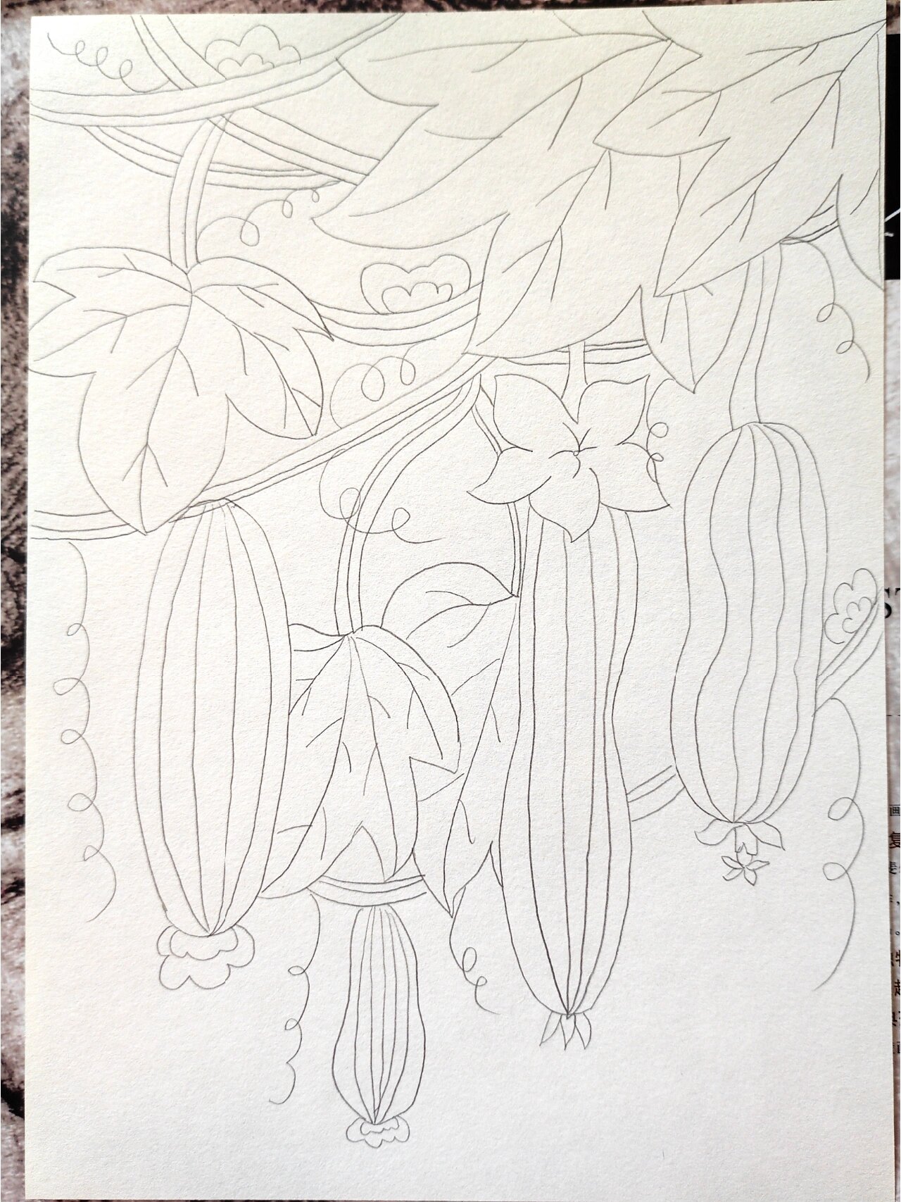 儿童画《藤蔓上的丝瓜》(半原创