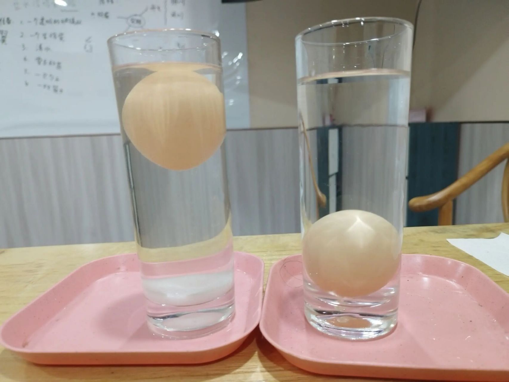 鸡蛋浮起来的实验图片