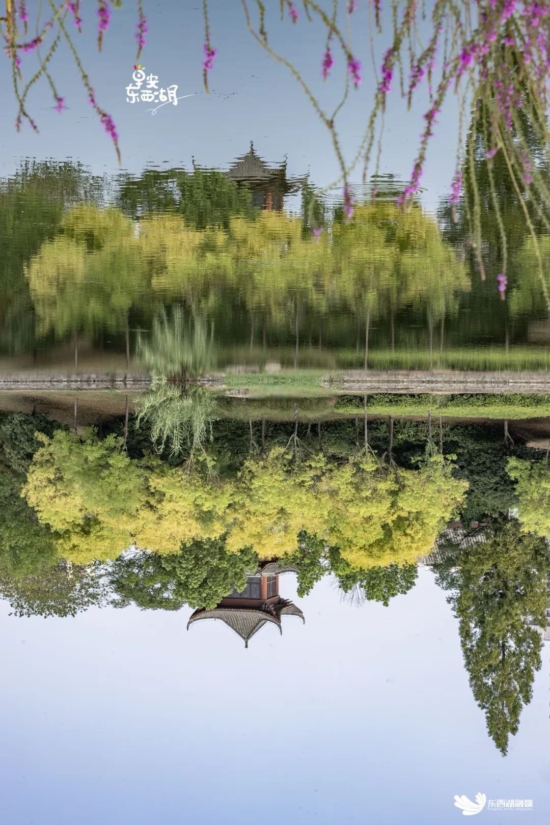早安东西湖# 【这是什么神仙公园,倒影也太美了吧】 湖光倒影,瑰丽