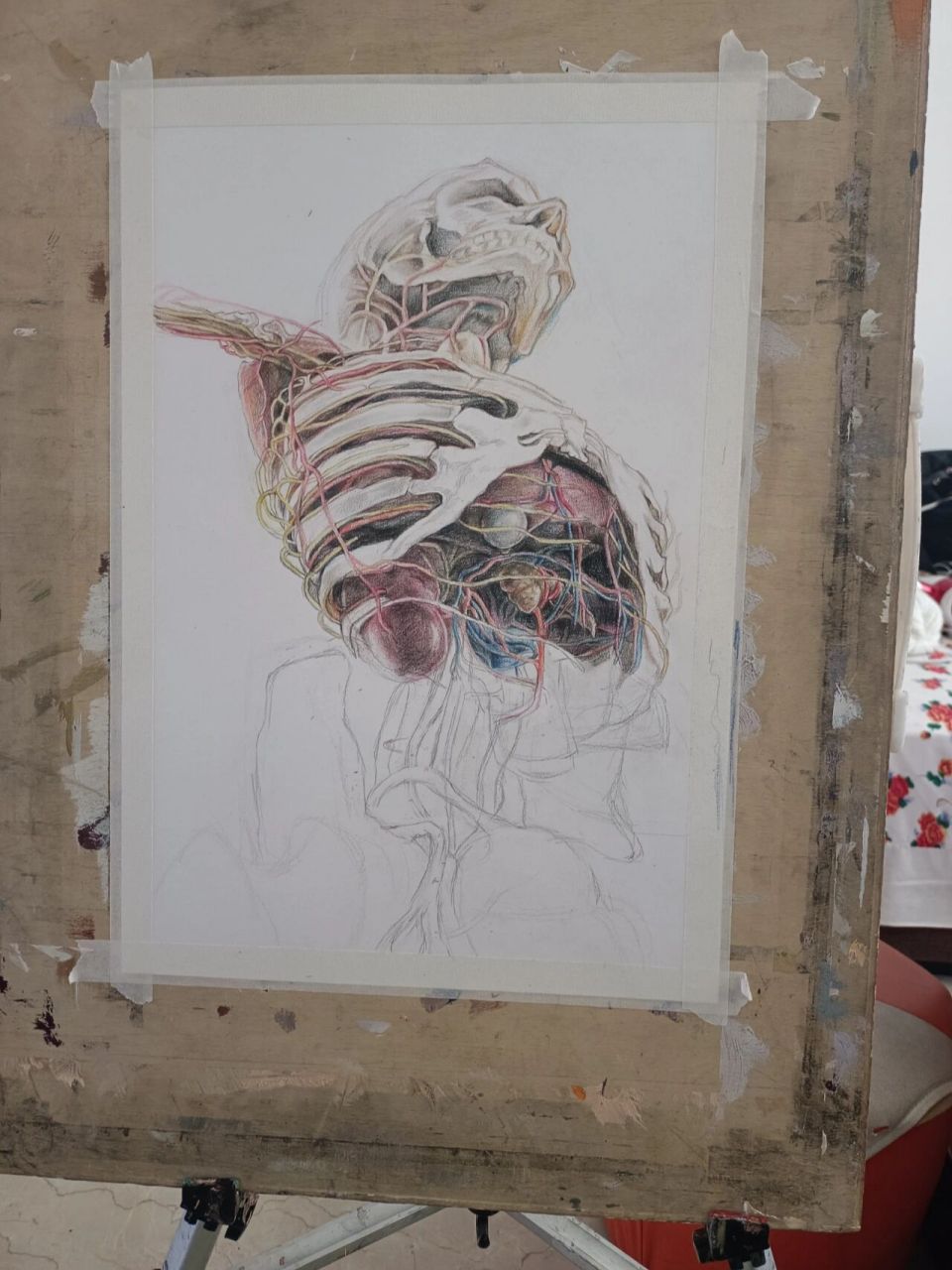 临摹‖创意人体解剖图 日常分享
