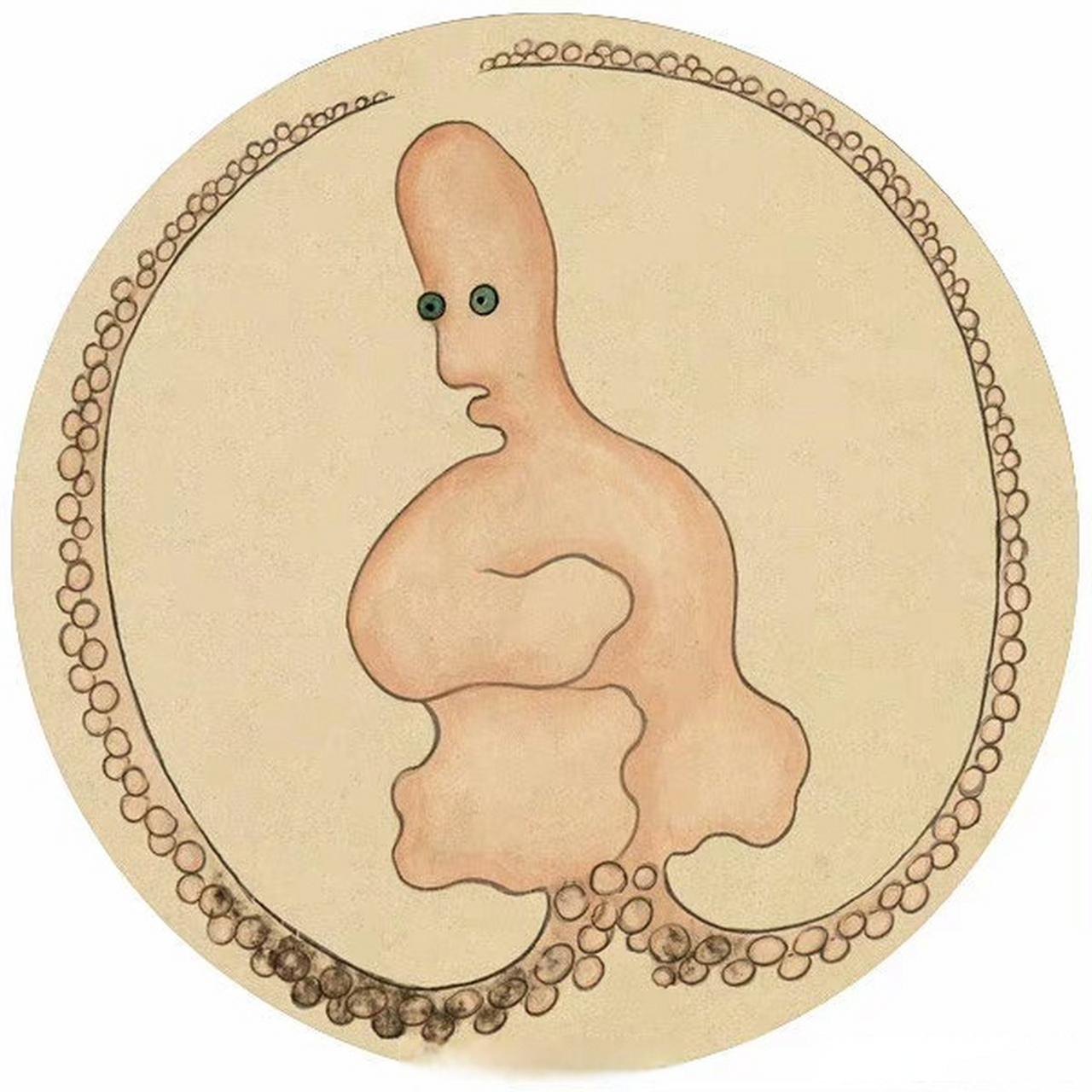 清代博物图册|《海错图》 清.聂璜