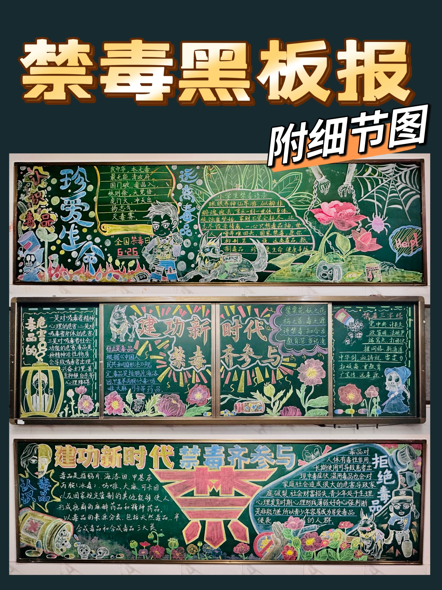 黑板报|全民禁毒教育宣传粉笔画