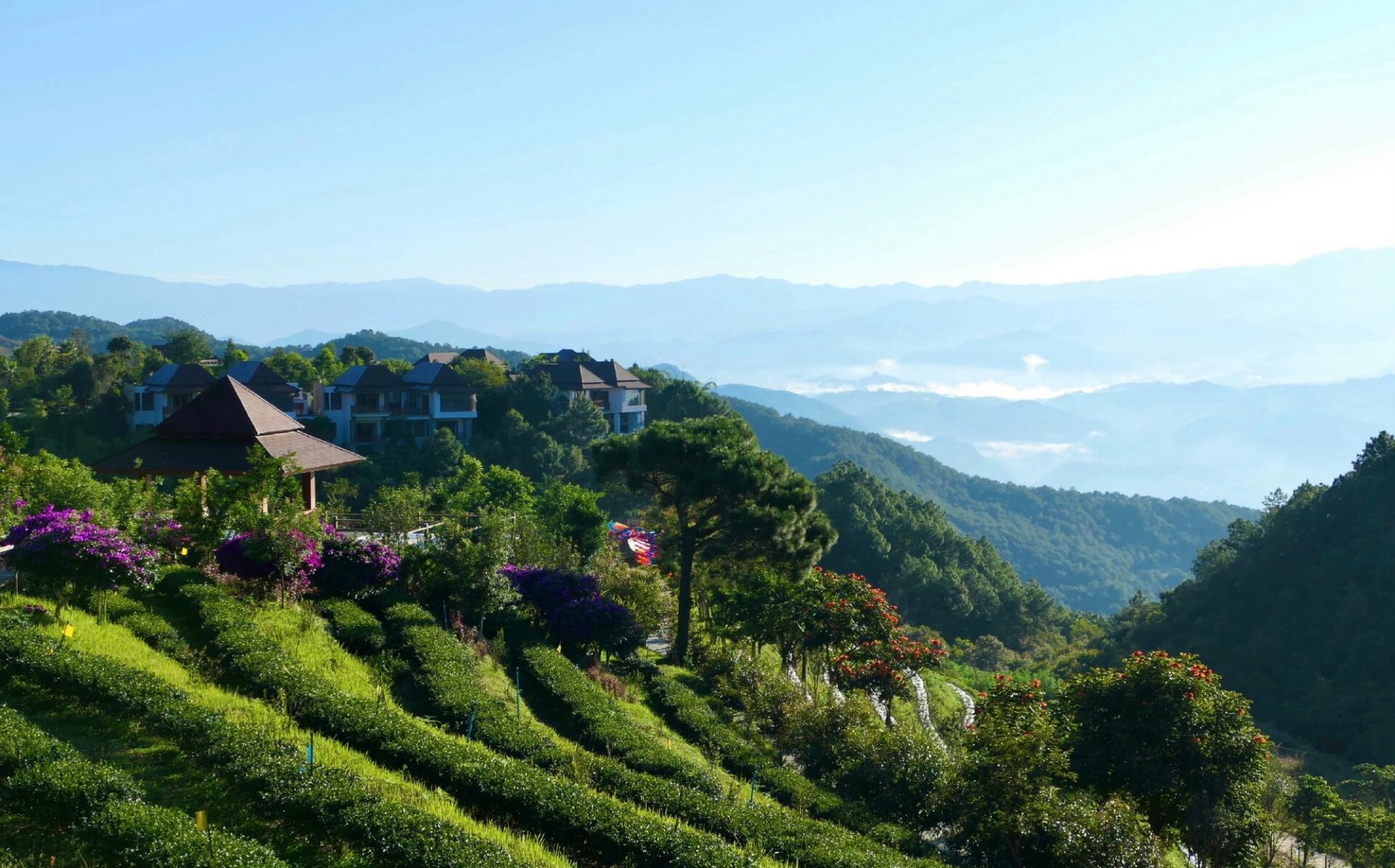 7215云南临沧,北回归线上的绿色明珠·双江 双江拉祜族佤族布朗族