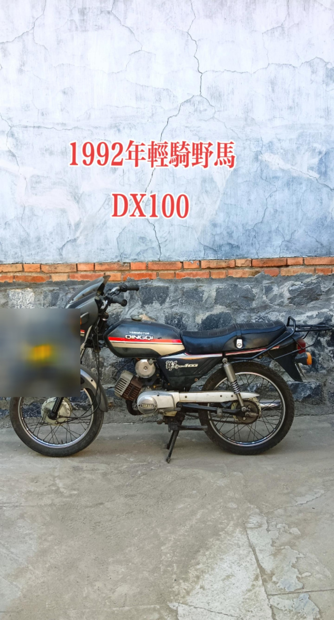 1992年轻骑野马dx100