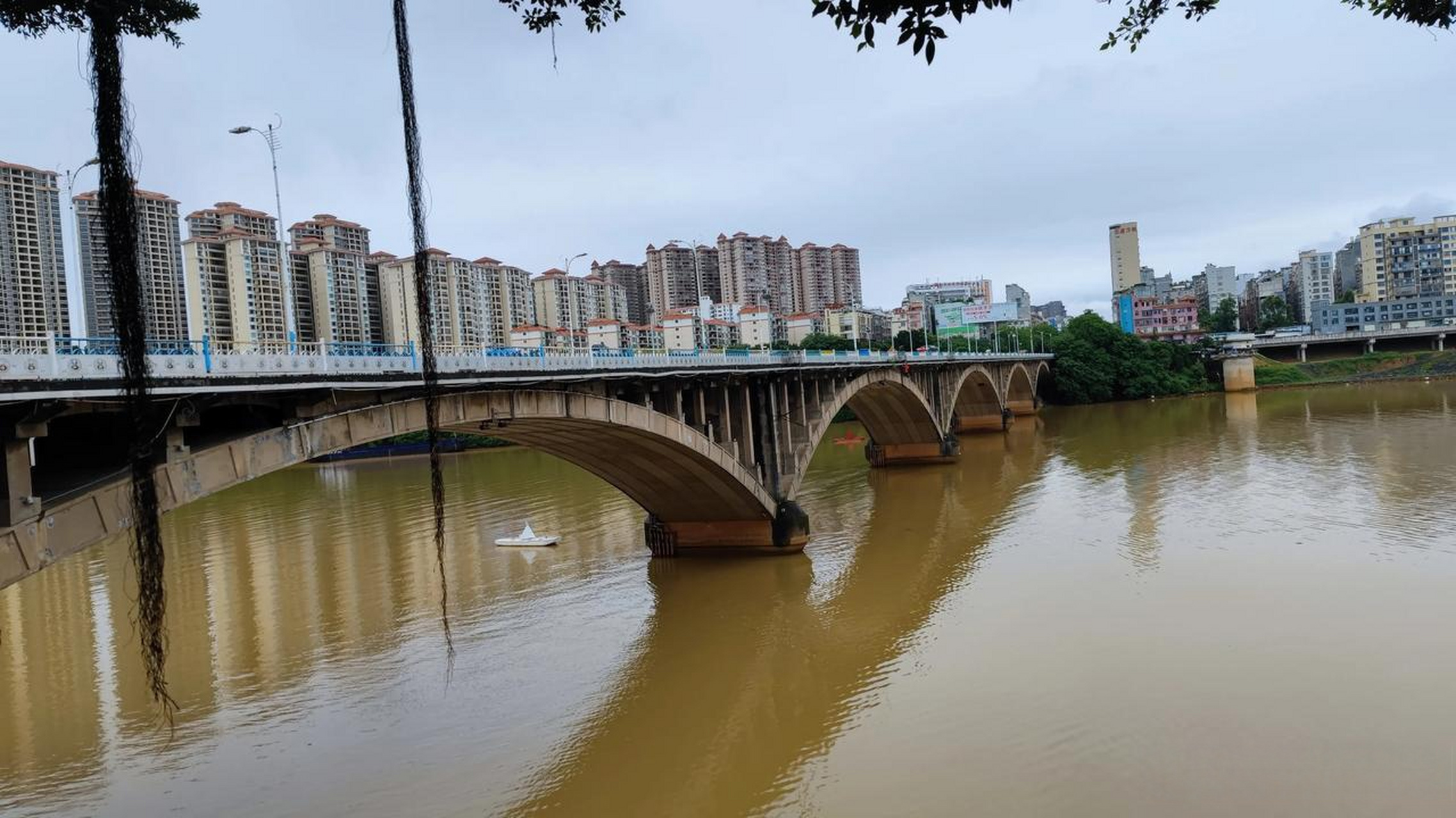 藤县西江受上游雨水影响,江水变得浑浊泛黄.