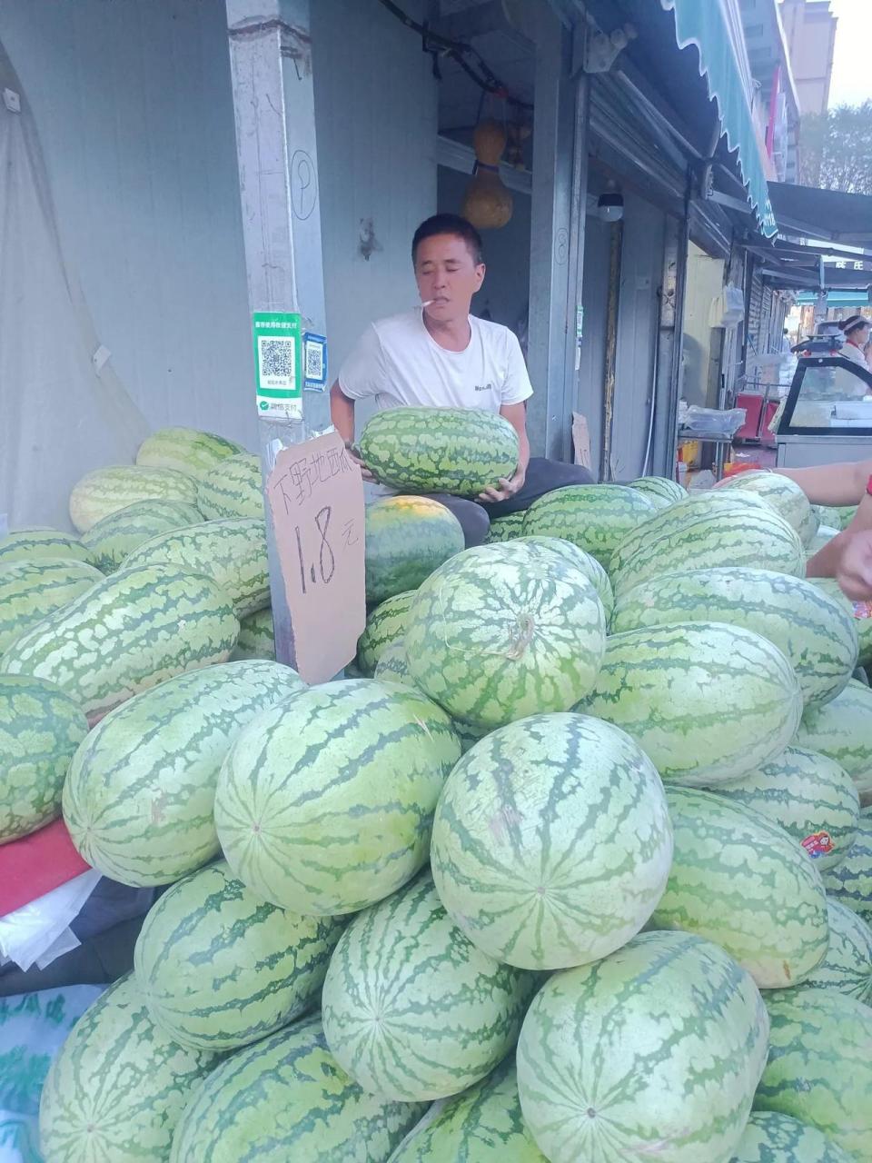 乌鲁木齐头条 二钢市场,下野地西瓜,1.