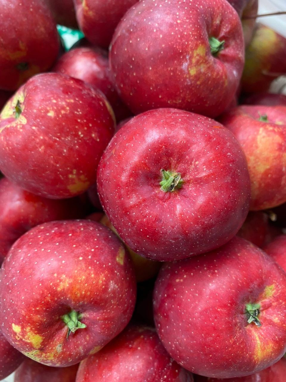 吃过一次就上瘾的东北水果00 东北特产龙丰果大秋果 酸酸甜甜,吃在