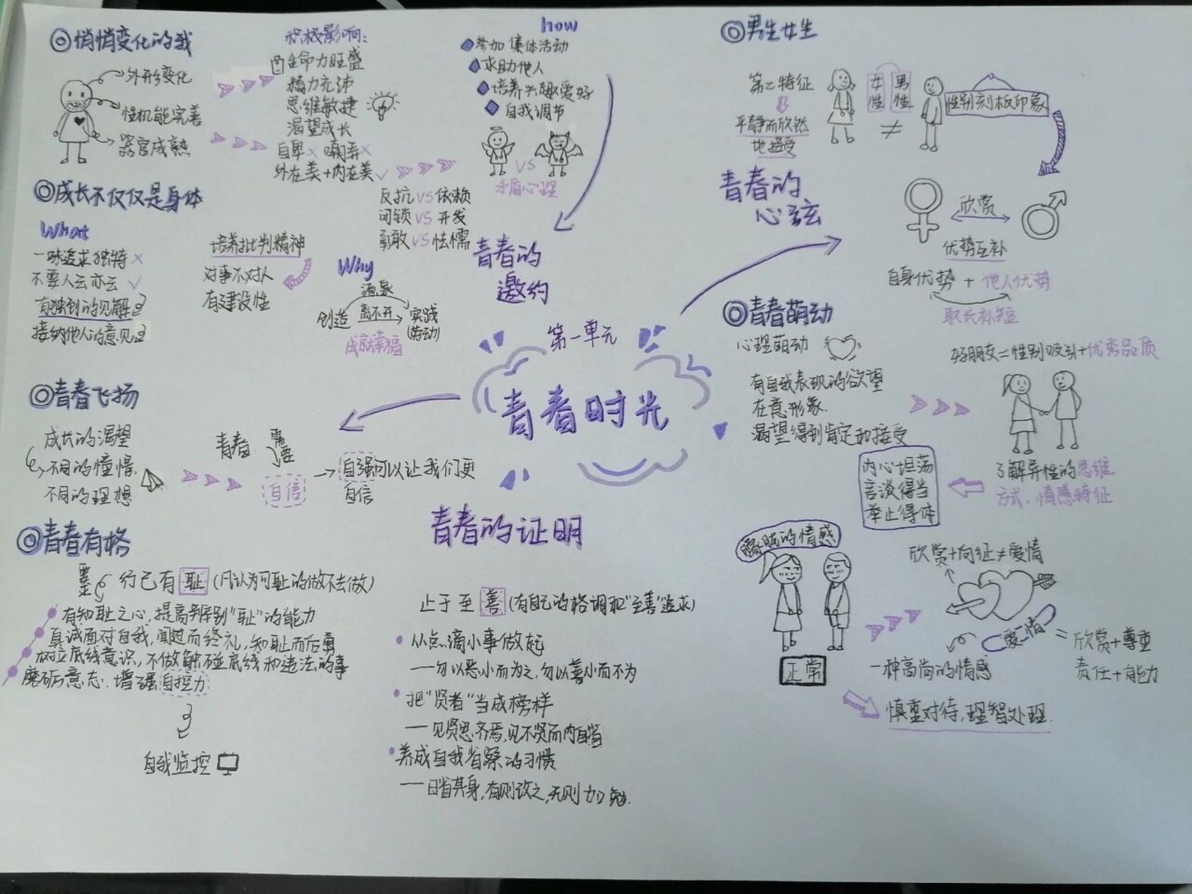七下人教版政治第一单元思维导图 第一单元的政治来了大家一起卷起来