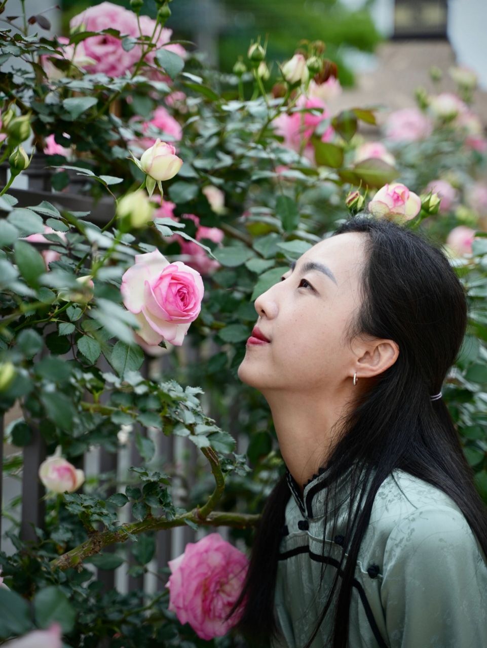 留住夏夫人最美的一刻 再不美美的拍一下照,就要等明年才能再见夏夫人