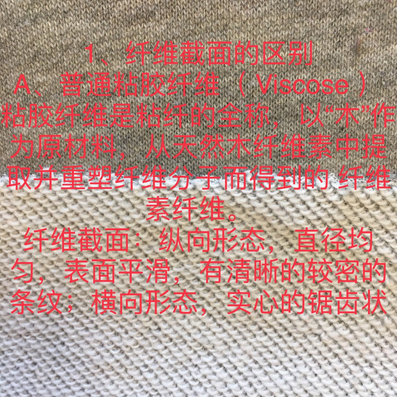 粘胶,莫代尔和莱赛尔的区别你分的清吗?