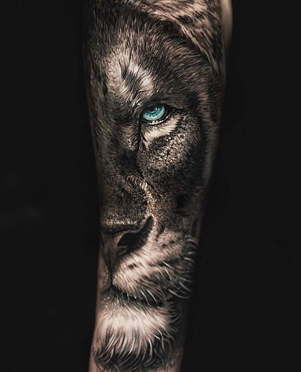 欧美写实纹身分享 狮子 狮子是智慧和力量的化身,有吉祥,繁荣,生生不