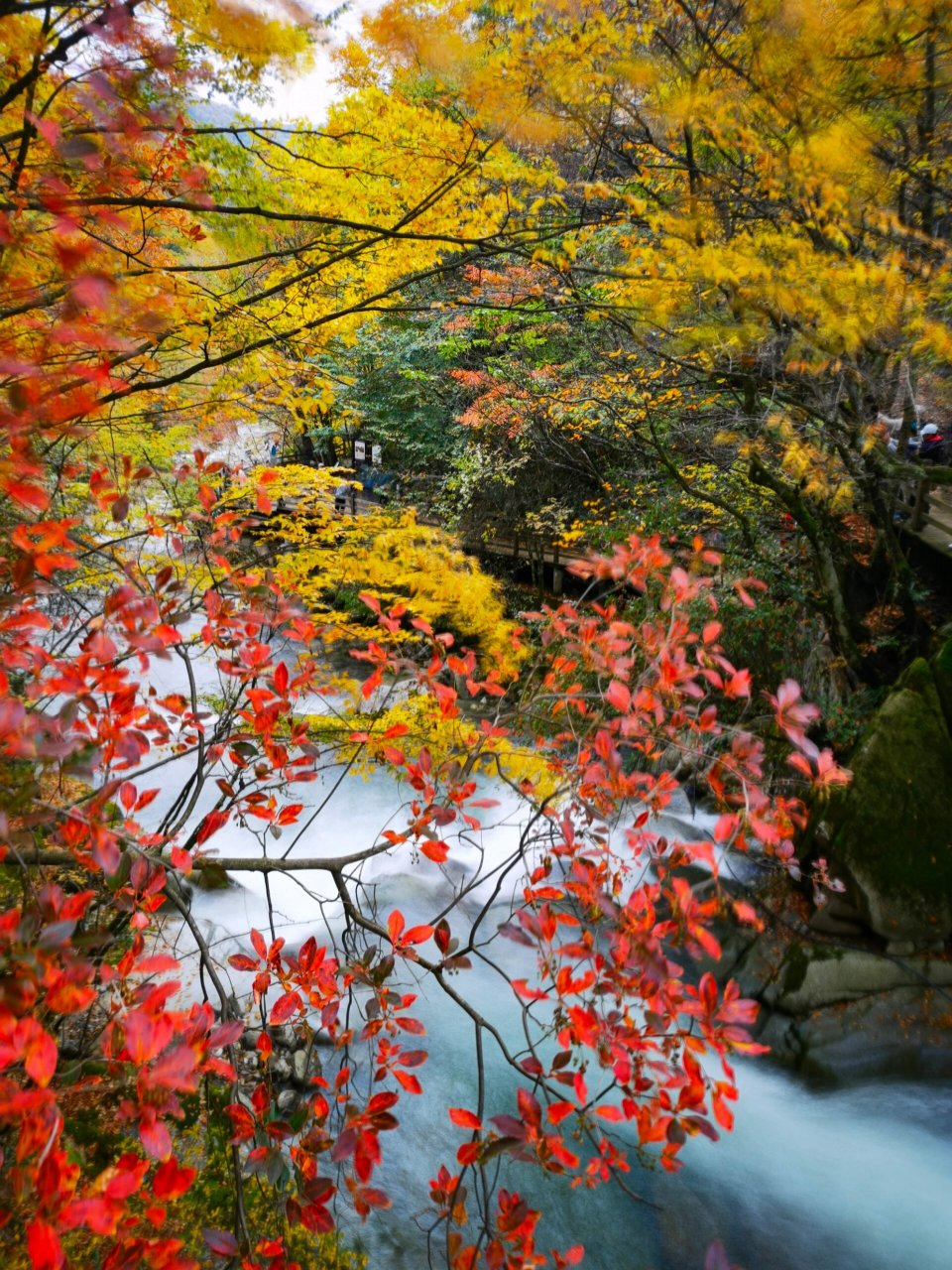 观赏了光雾山景区中的十八月潭,米仓山中的大小兰沟,香炉山,黑熊沟,最