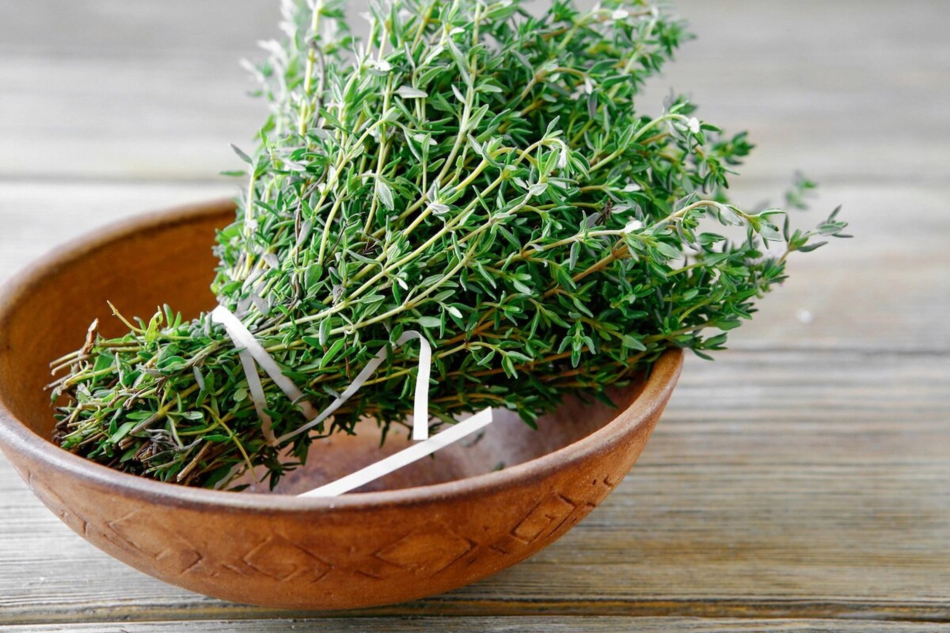 每天一个膳食补充剂 百里香是一种高度不超过三十厘米的芳香植物.