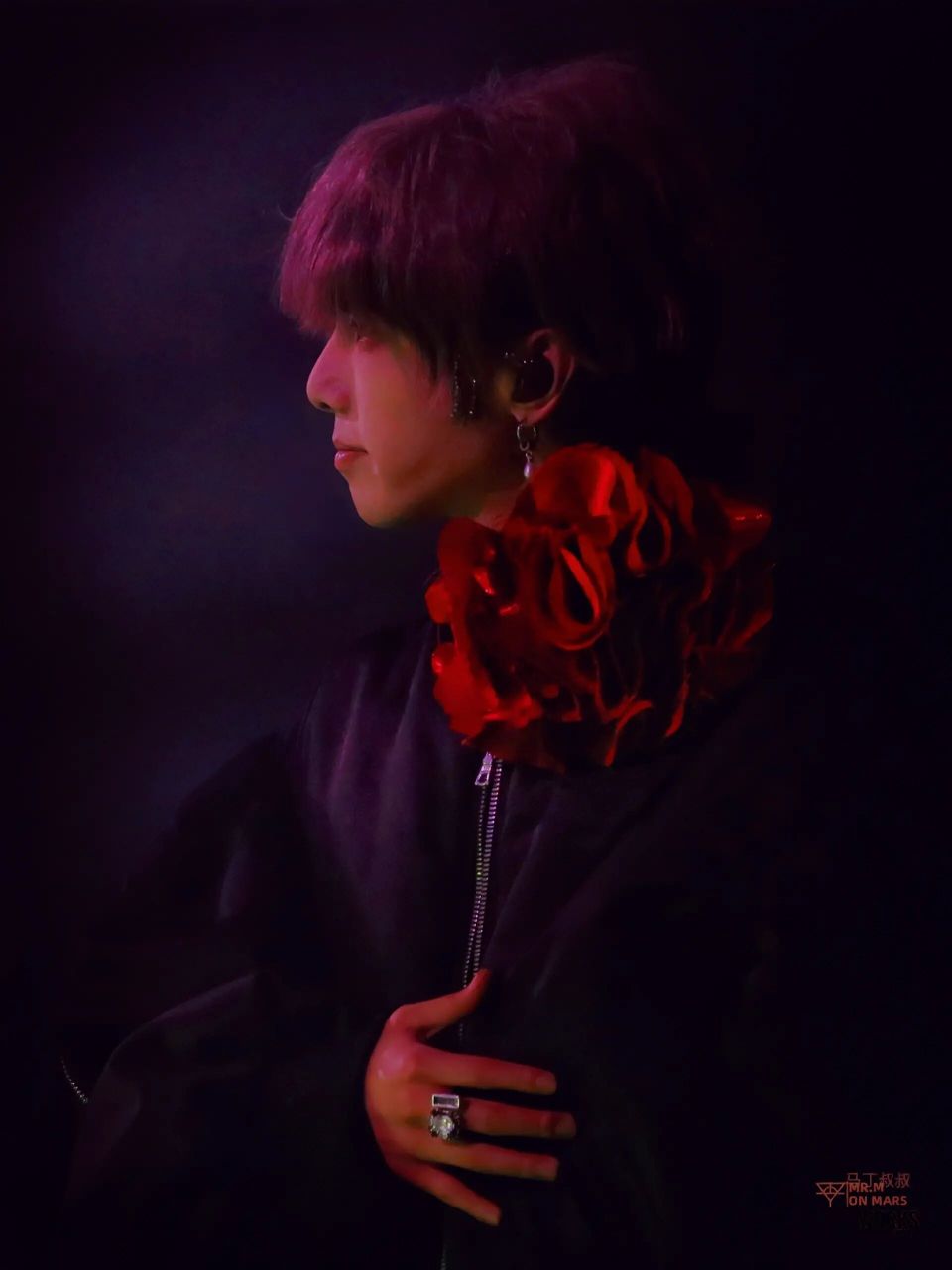 红花少年 华晨宇2023火星演唱会4/9夜 少年玫瑰相映红 	 ositerm定制