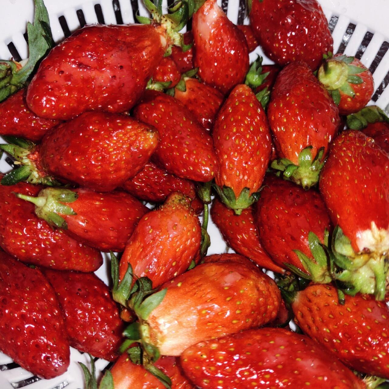 这个有点细长的草莓真的很美味啊 虽然不知道什么品种 但是真的好香好