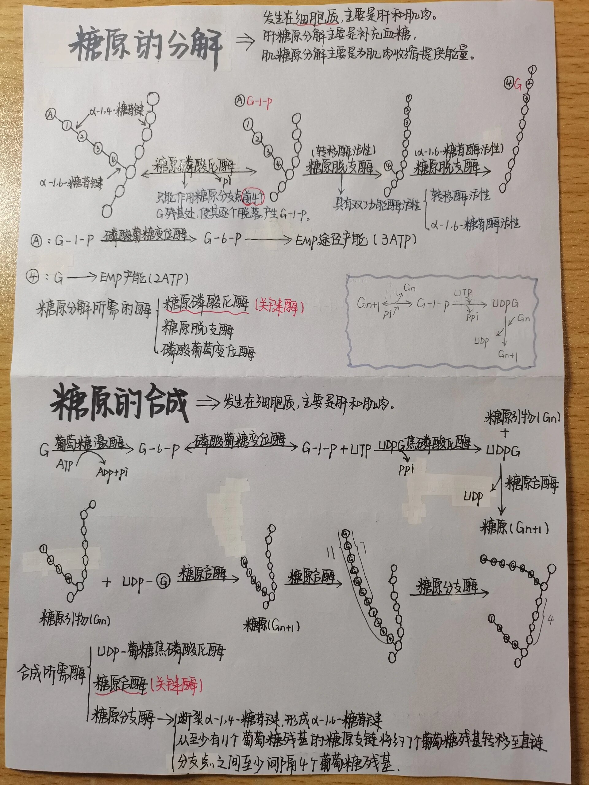 合成号与分解号图片图片