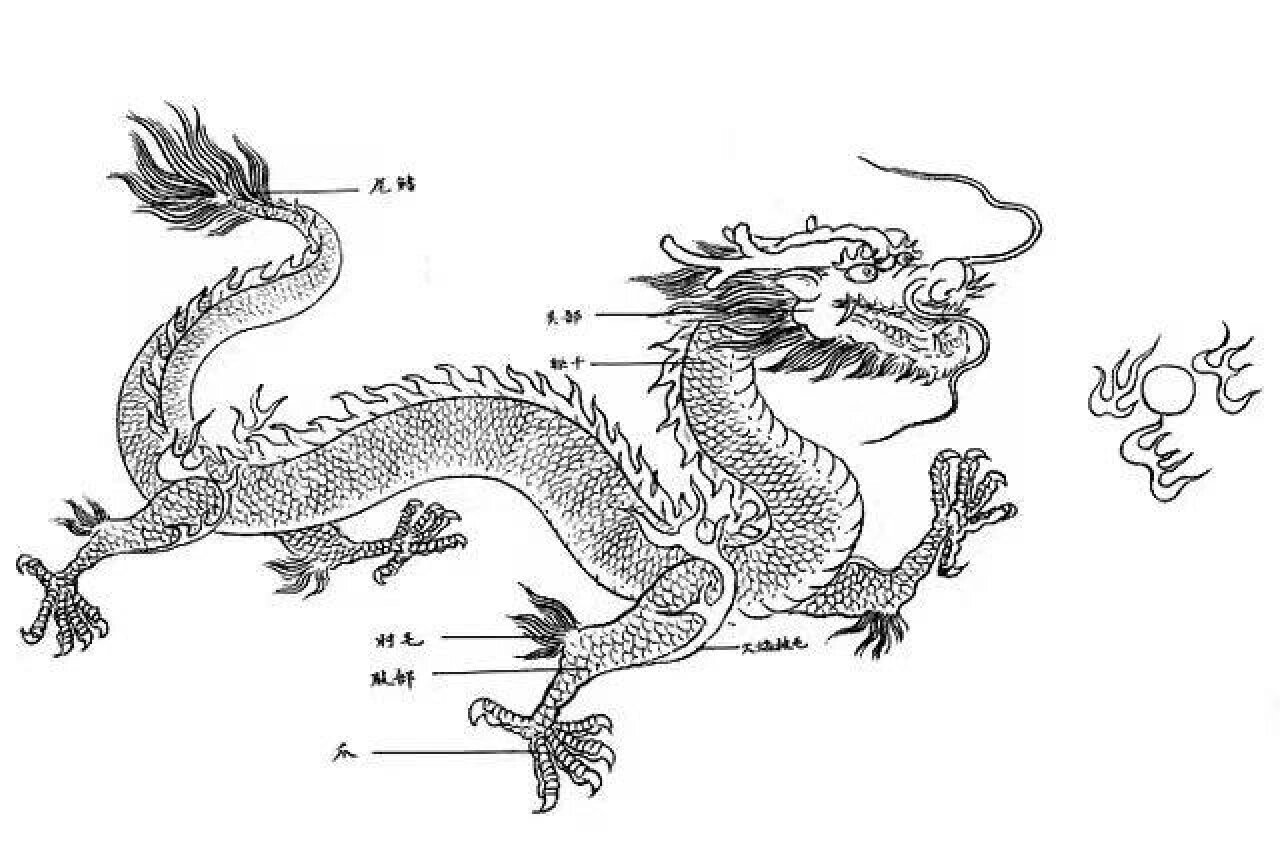 中国龙绘画素材