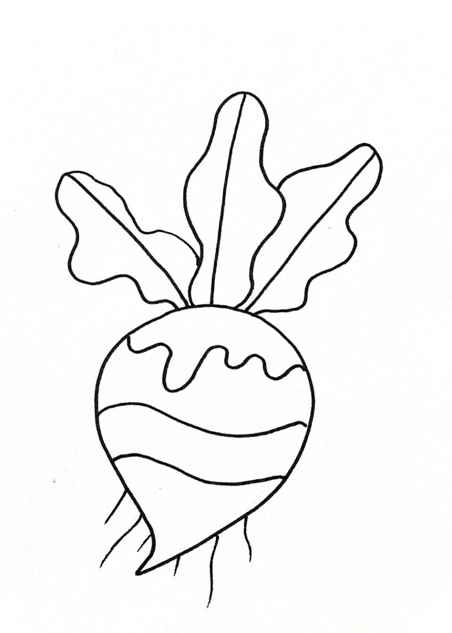 儿童线描画/萝卜 超级简单的儿童线描画,适合3岁以上的宝宝