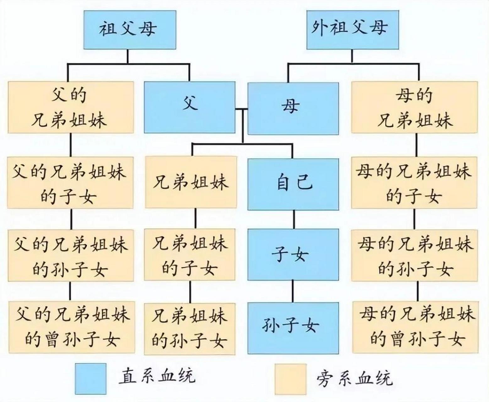 亲戚关系图谱图片