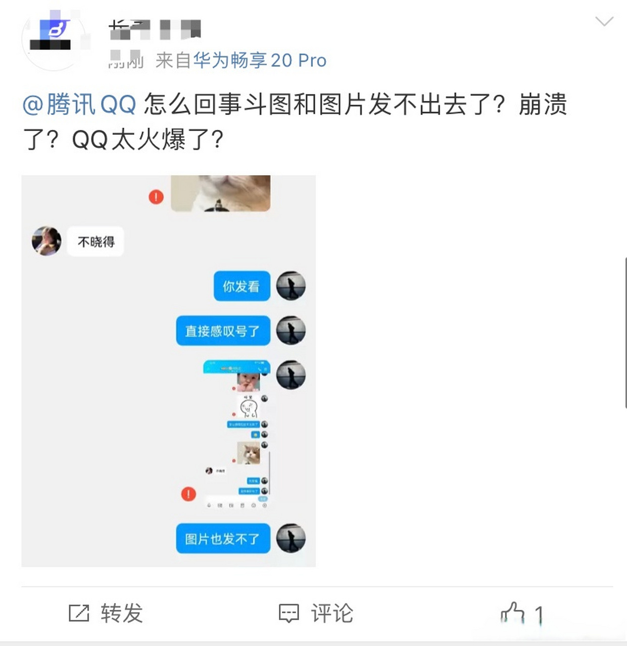 qq突然无法发送图片图片