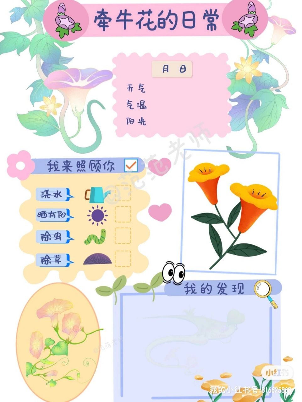 94自然角观察记录表94～牵牛花 94牵牛花的日常94～来喽78