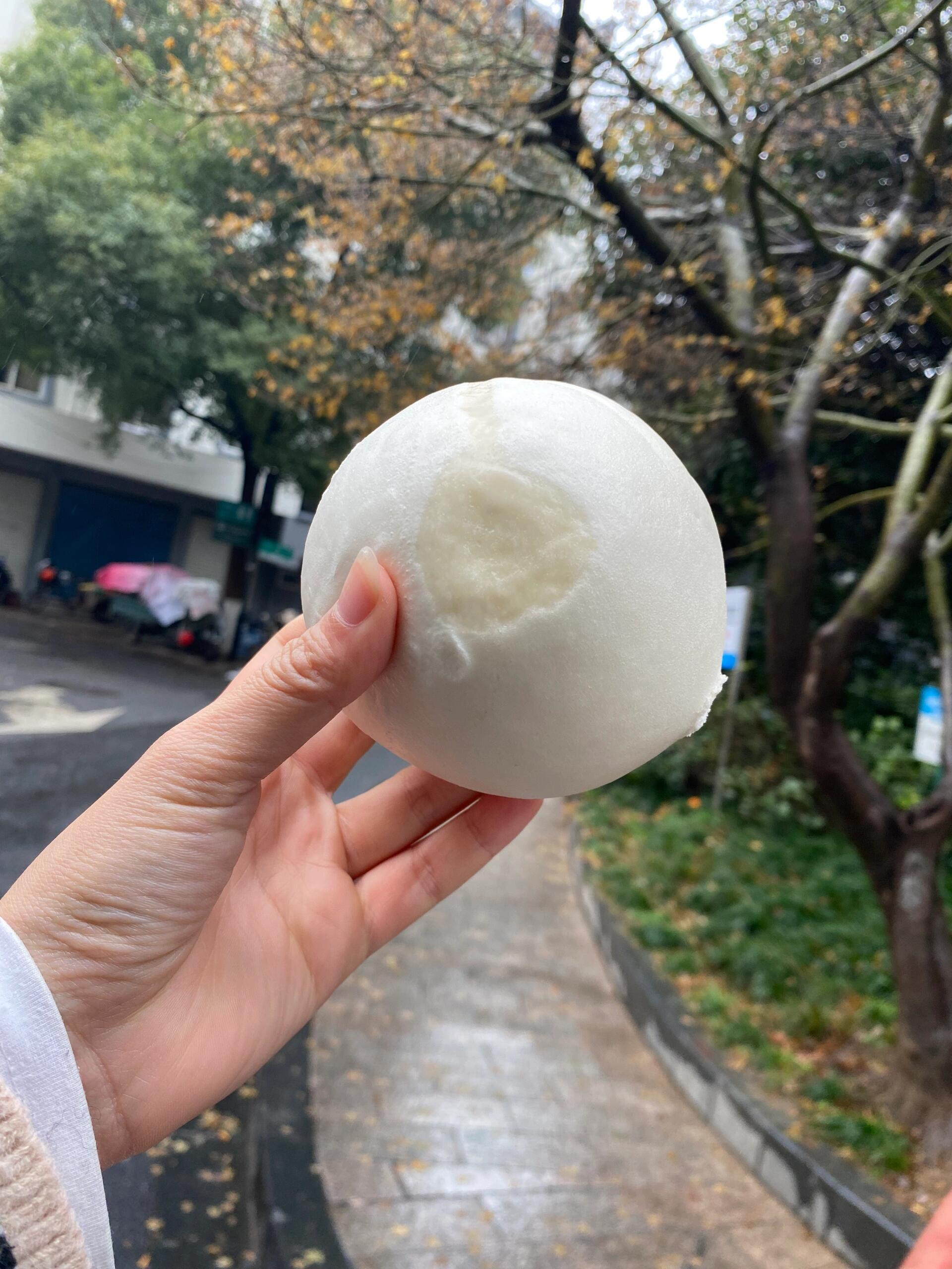 高庄馒头 在杭州找到北方馒头了,可以一层一层撕的高庄馒头.