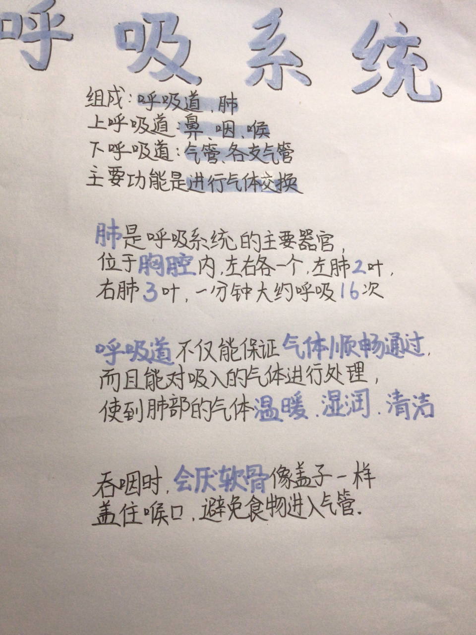 今天是呼吸系统的手抄报～有这项作业的小朋友们快来康康 标题的紫色