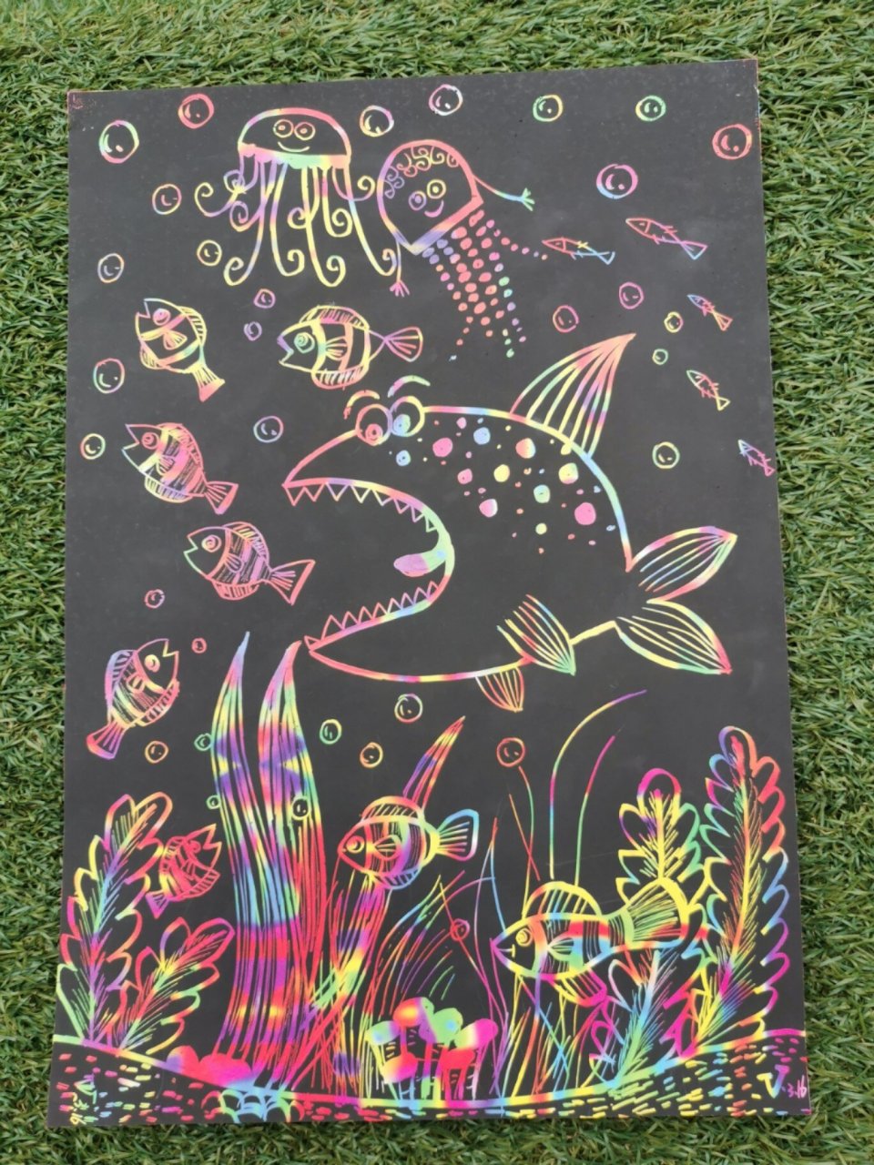 刮画课堂:海底世界