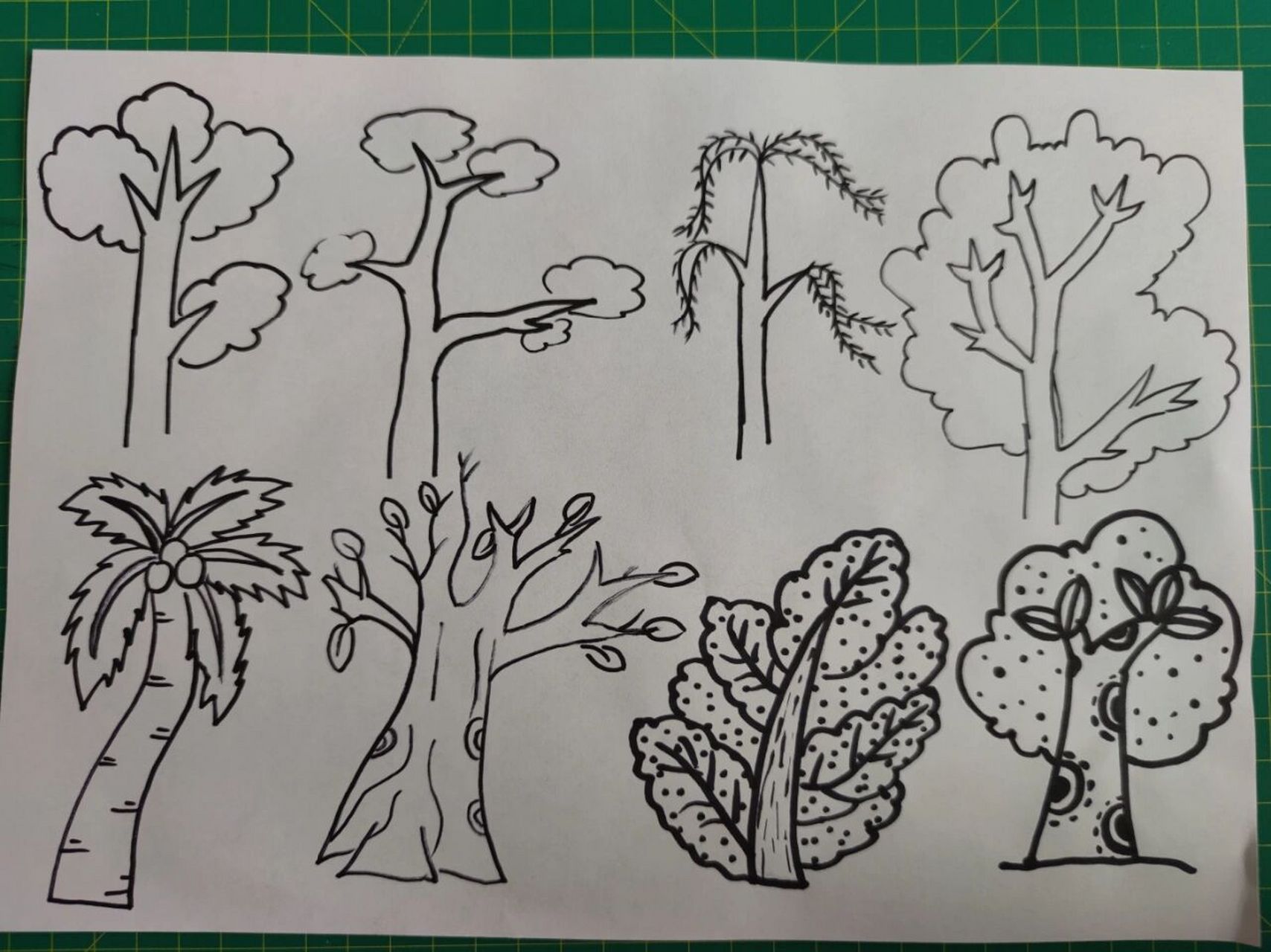 二年级大树怎么画好看图片