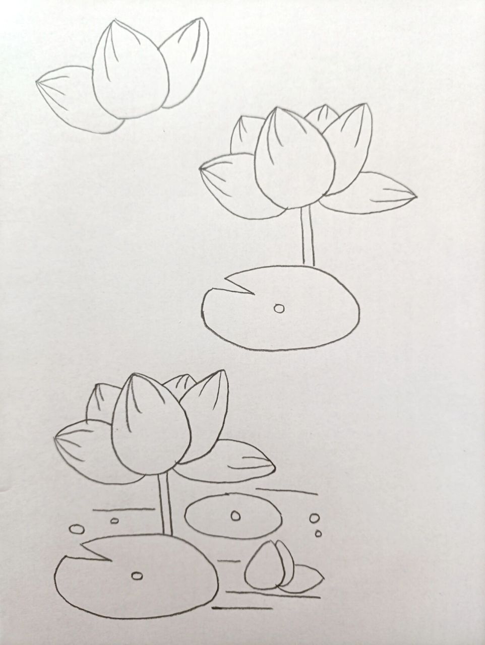 简笔画(64)荷花 希望今年疫情赶快过去,希望今年资格证面试能正常进行