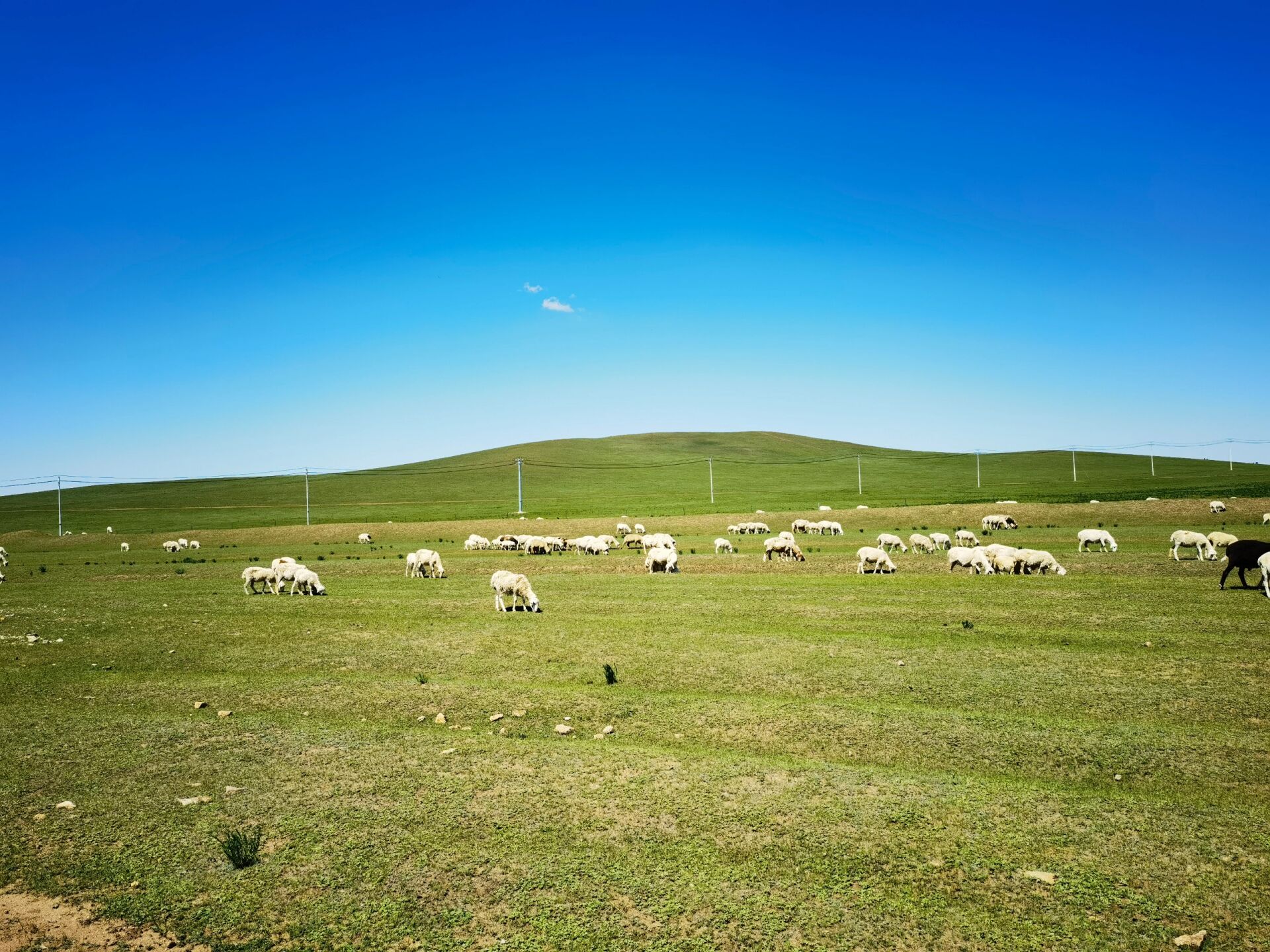 内蒙古锡林郭勒盟 | 太仆寺旗贡宝拉格草原