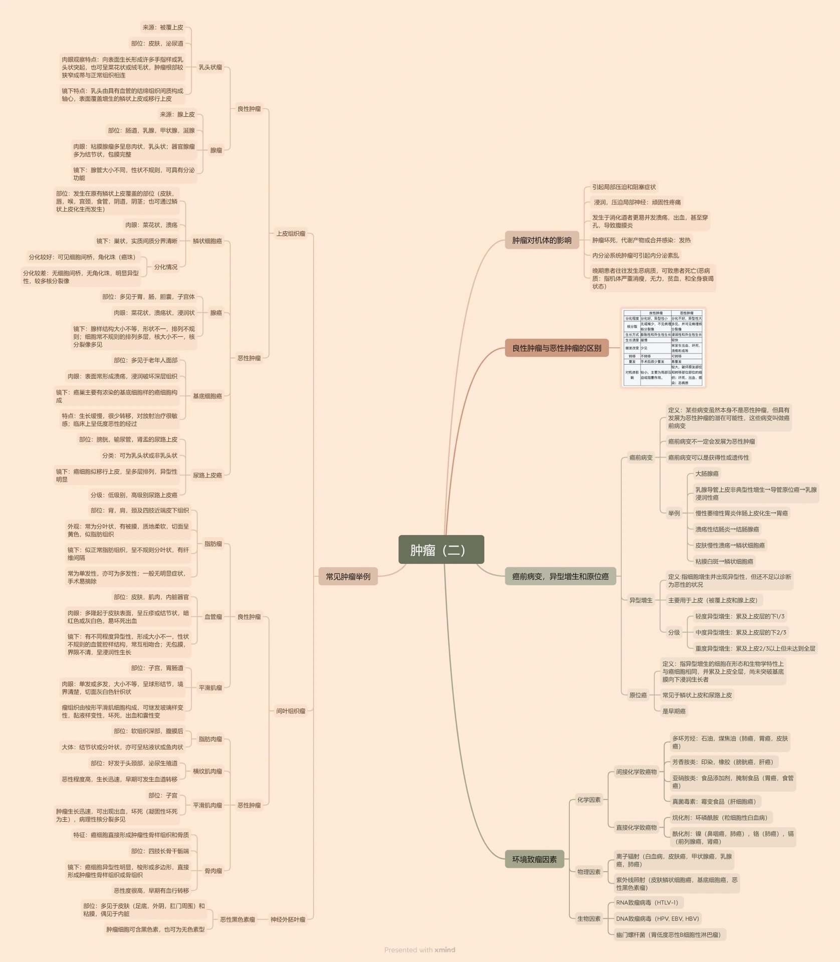 病理学第六章 肿瘤 思维导图