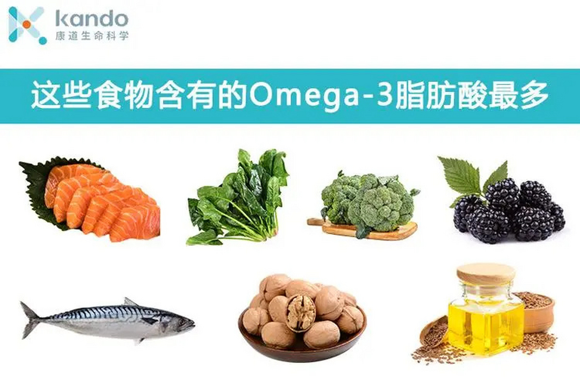 人体必需的脂肪酸76|omega3 和omega6 omega3 和omega6 这两种物质