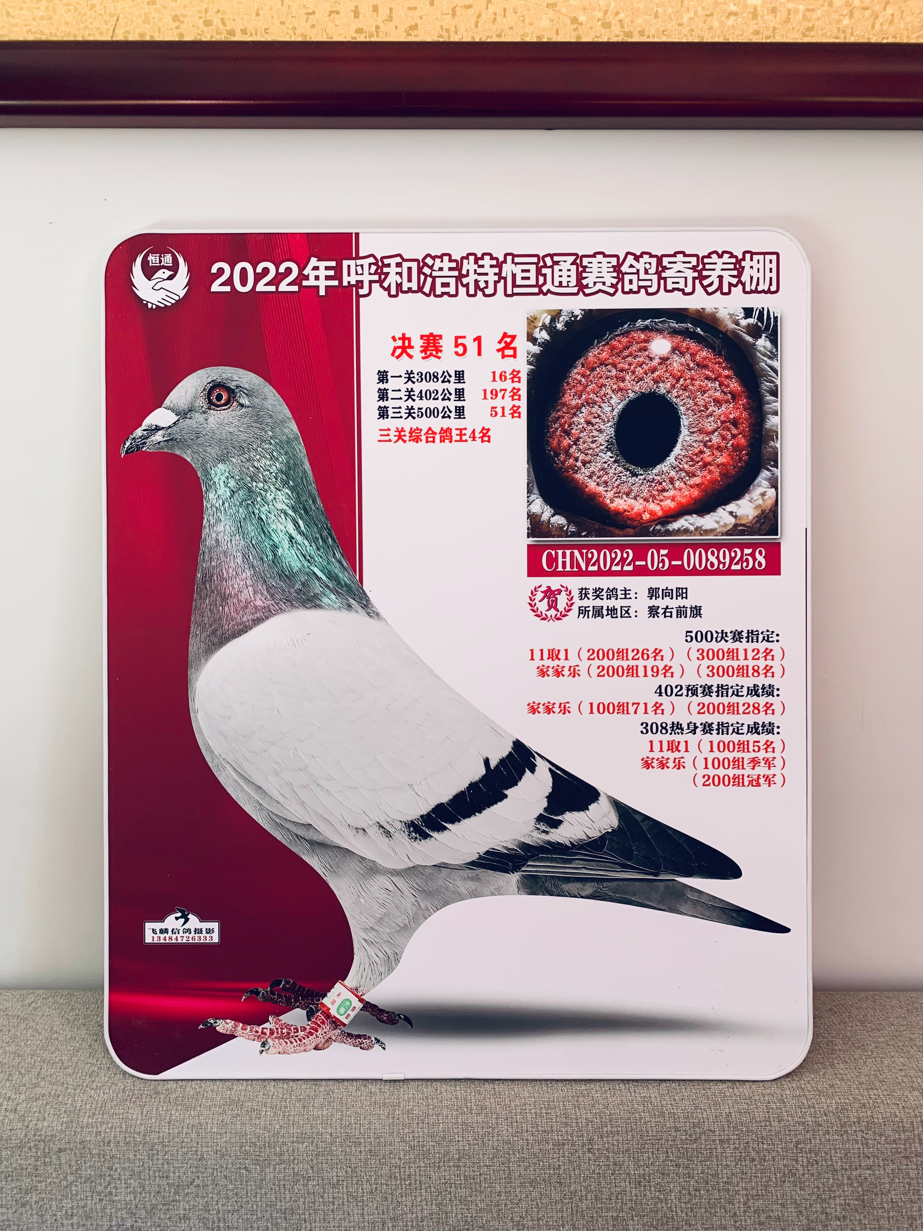 仅以赛鸽做个例子