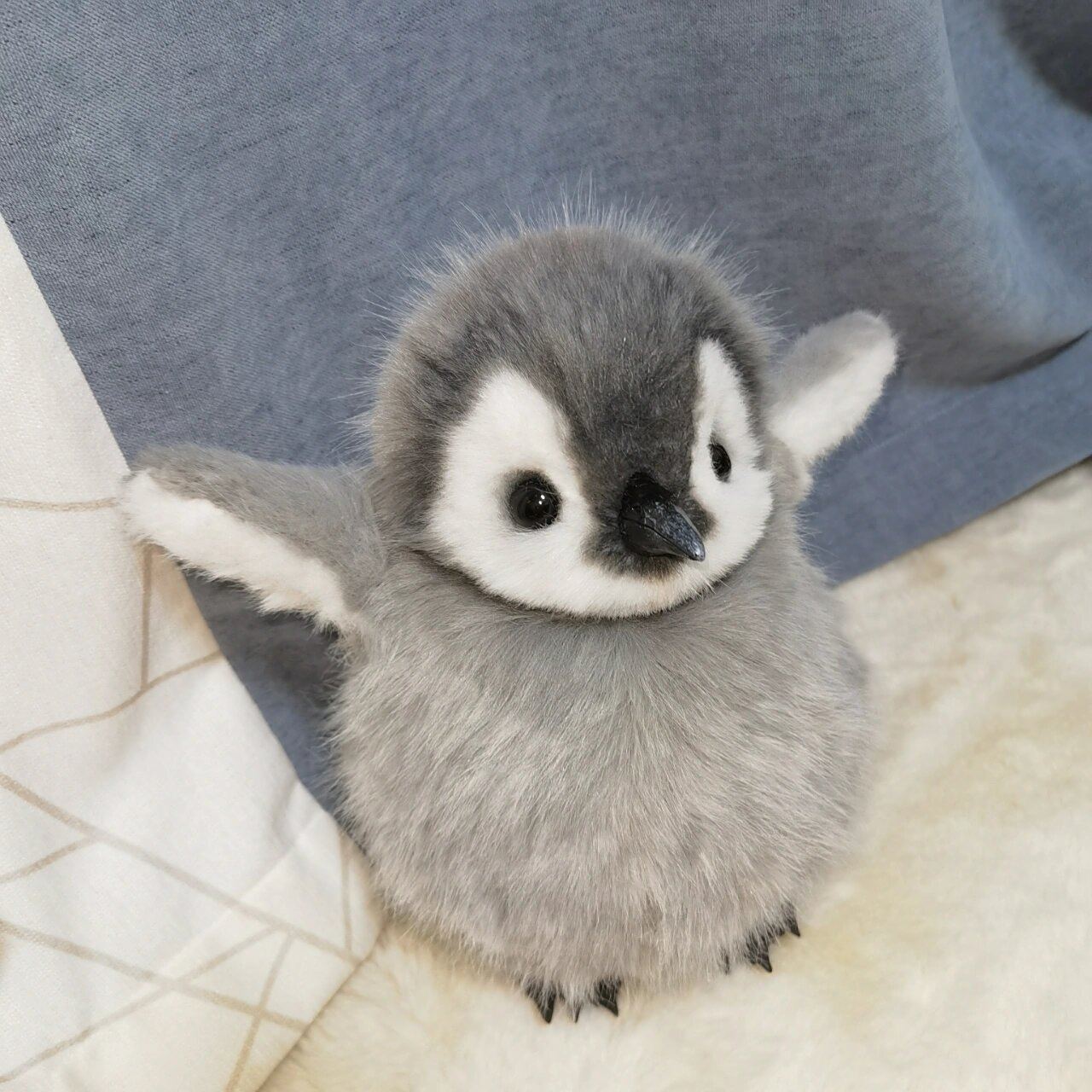 怎么会有这么可爱的帝企鹅宝宝 展示一些毛头小宝的预备起飞动作这样