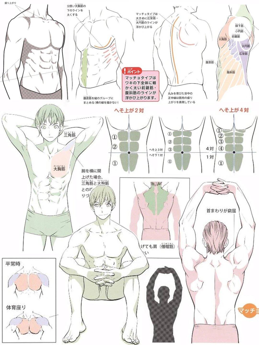 帅气的男性腹肌画法,还得看这套教程