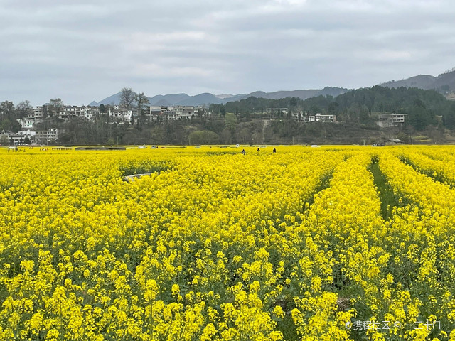 金海雪山四季花谷门票图片