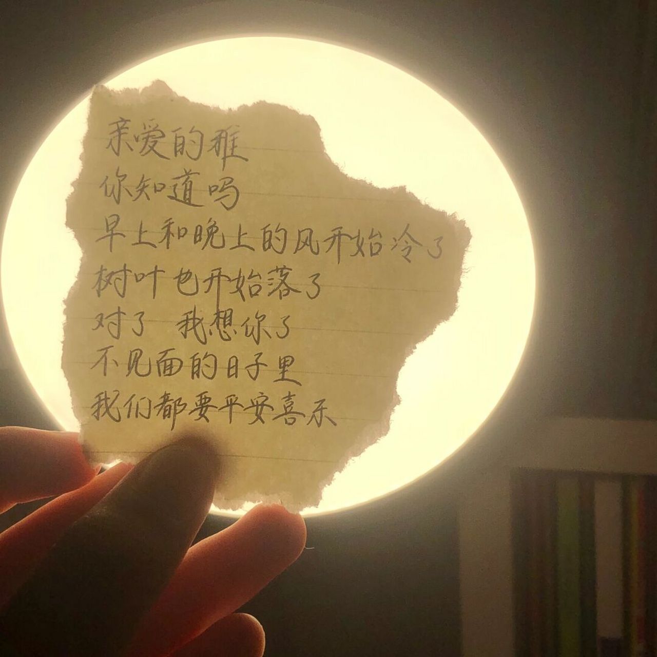 跟个风～ 哈哈 最近大幅度降温 大家注意保暖 不要感冒 不要让秋秋