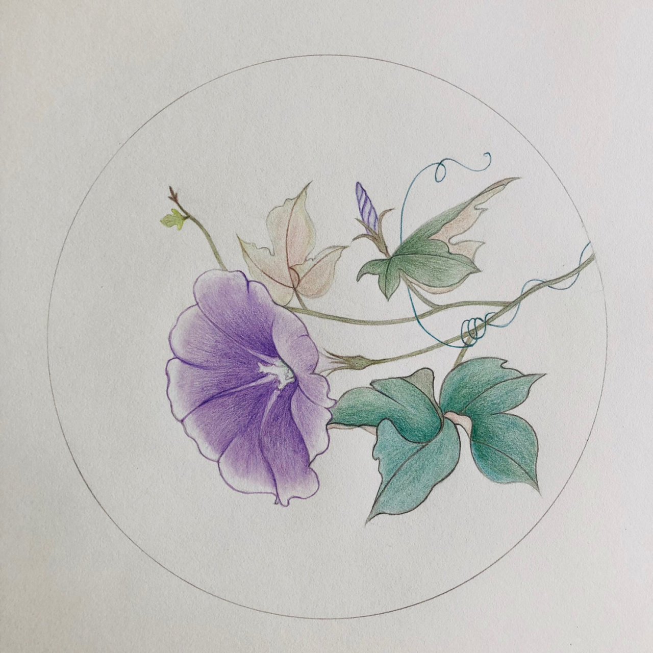 编号281(原创) a3素描纸 擦纸笔 辉柏嘉60色水溶性红盒彩铅,所用色号