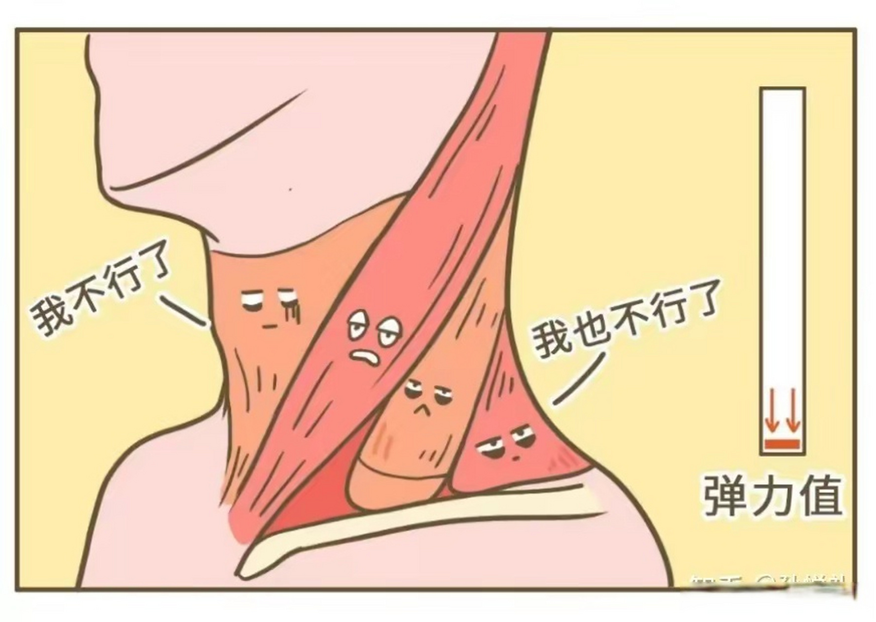 长期低头导致颈椎反反复复僵硬不适的罪魁祸首是肌肉疲劳拉伤