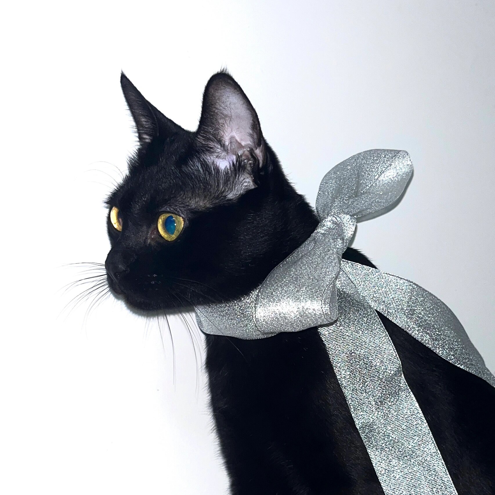 小众头像|贵族伯爵|暗黑吸血鬼| 嘻嘻 更新啦更新啦 oo真棒!