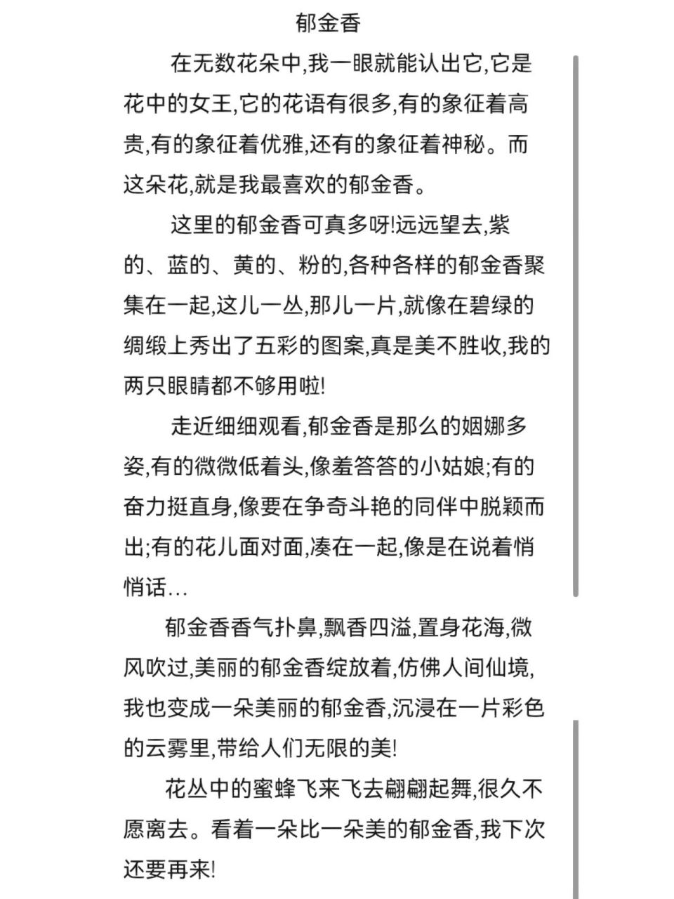 郁金香93 三年级下册语文单元作文练习-我的植物朋友:郁金香