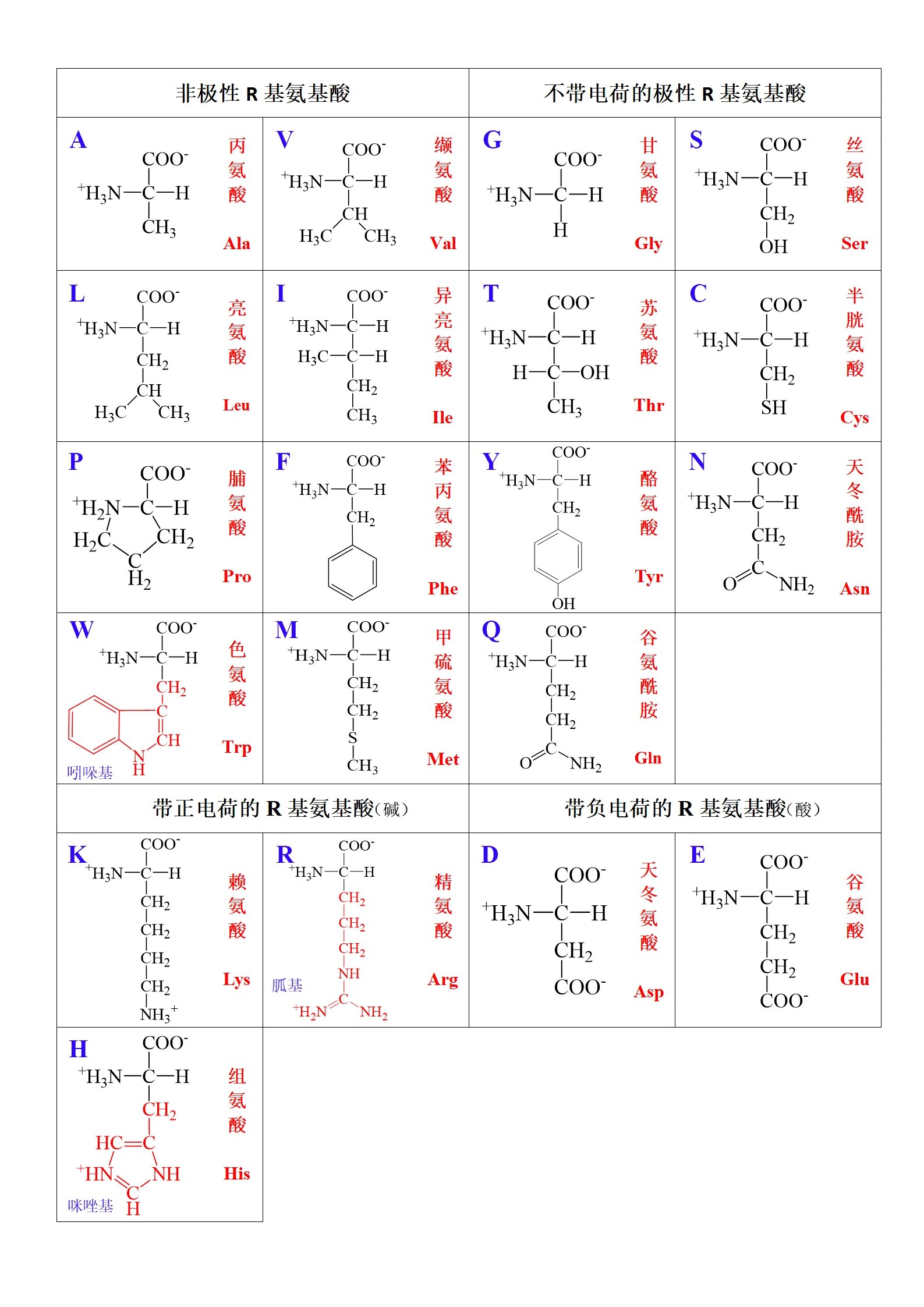 20种氨基酸结构式图片图片